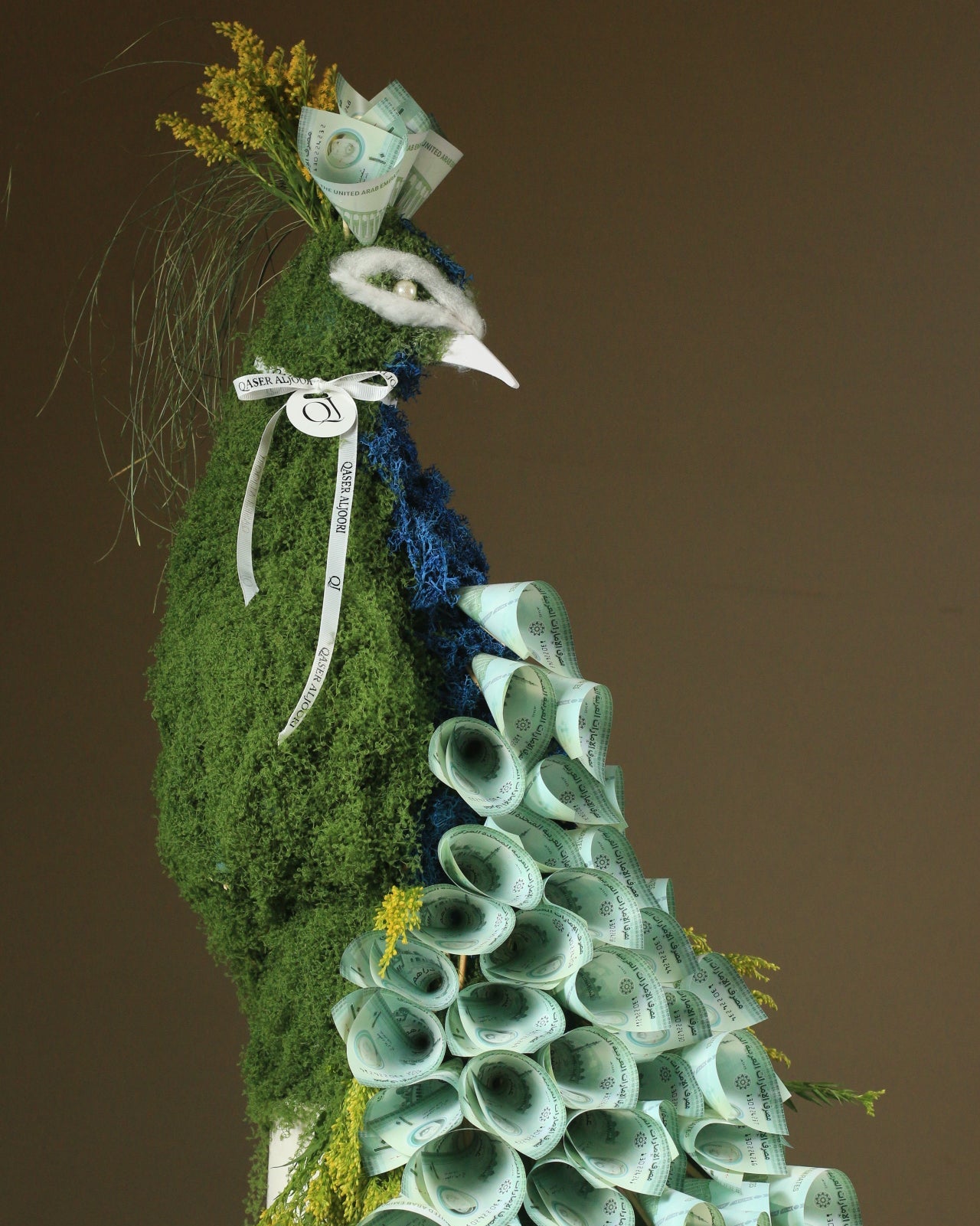 The beauty of the peacock