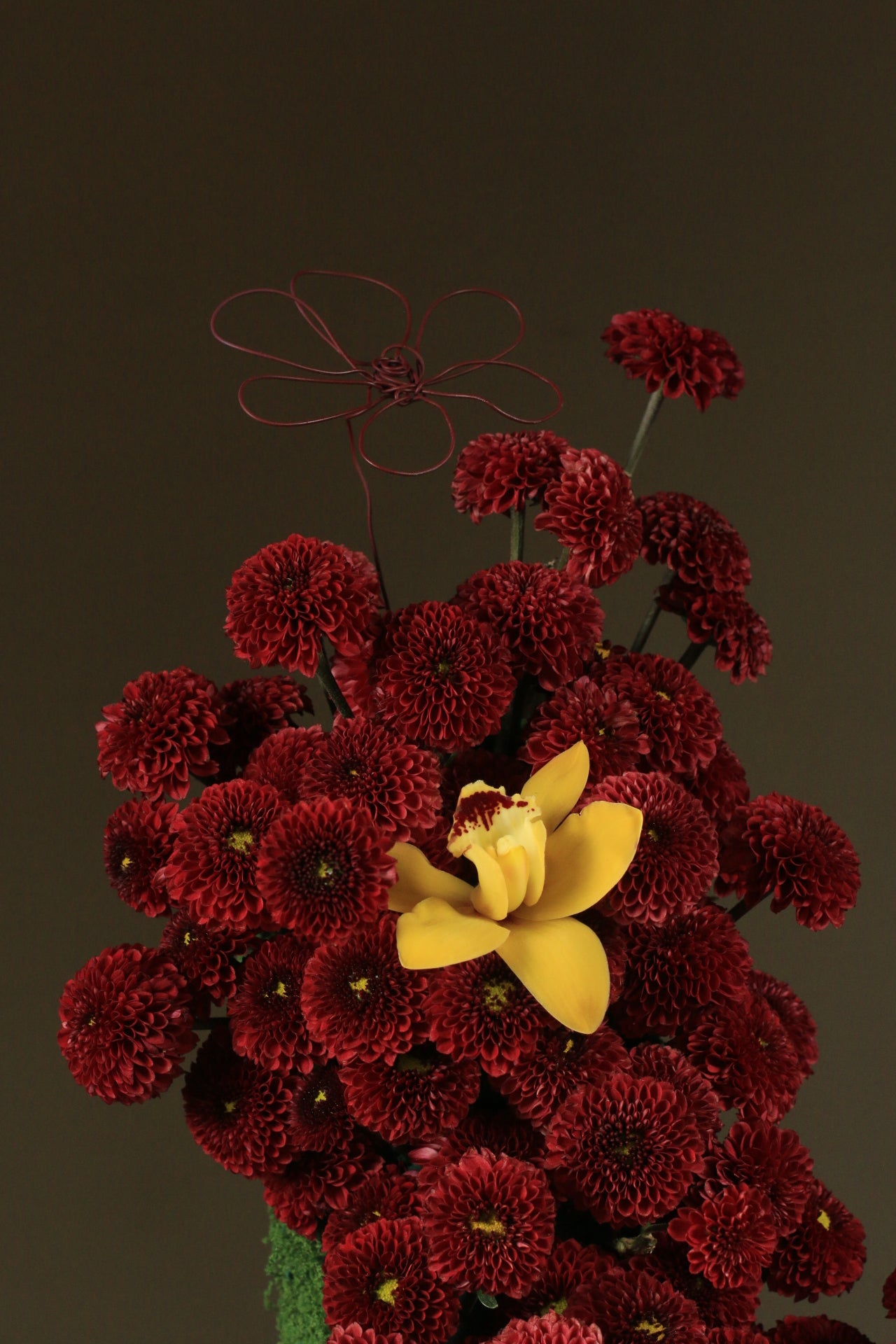Veloura Blooms