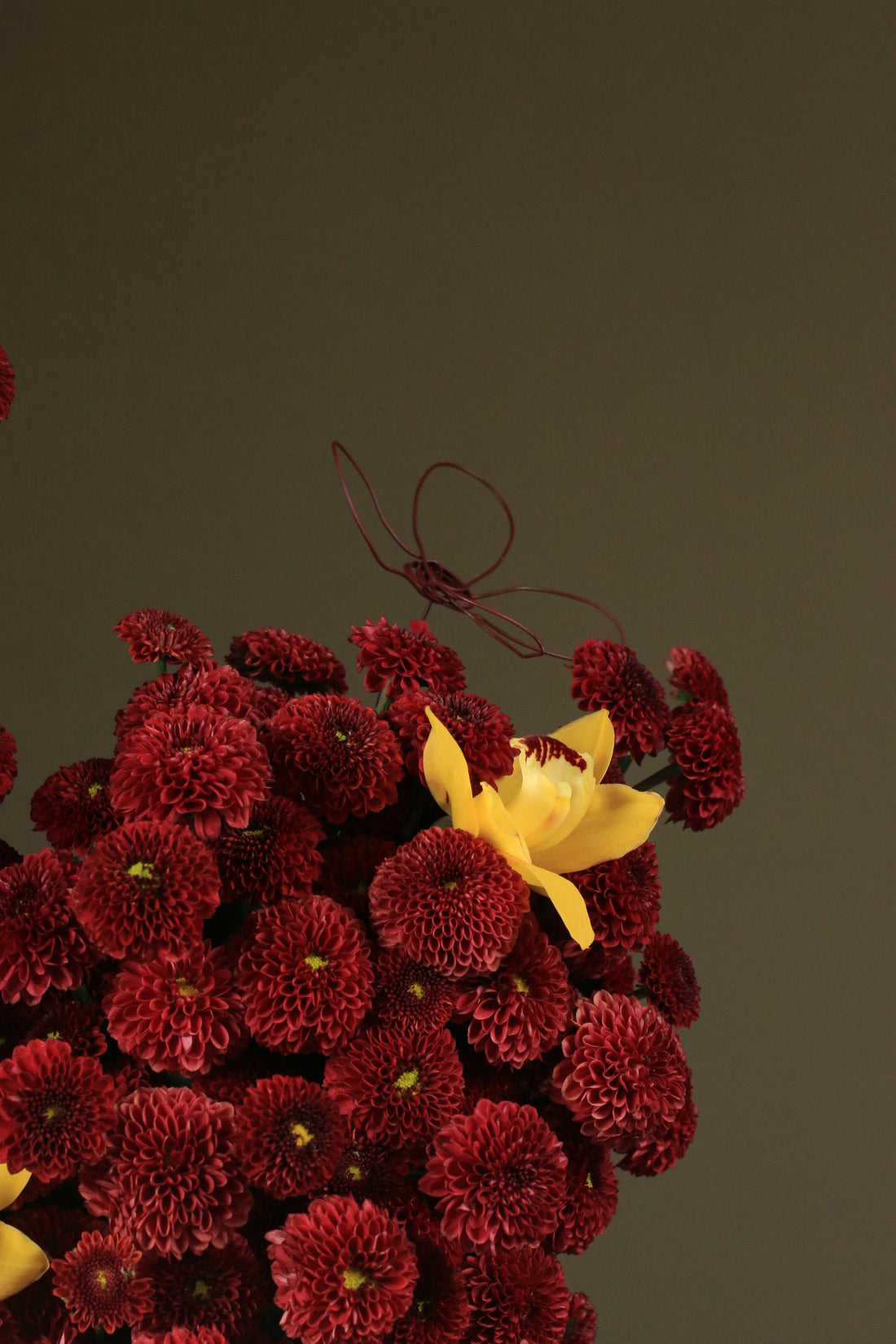 Veloura Blooms