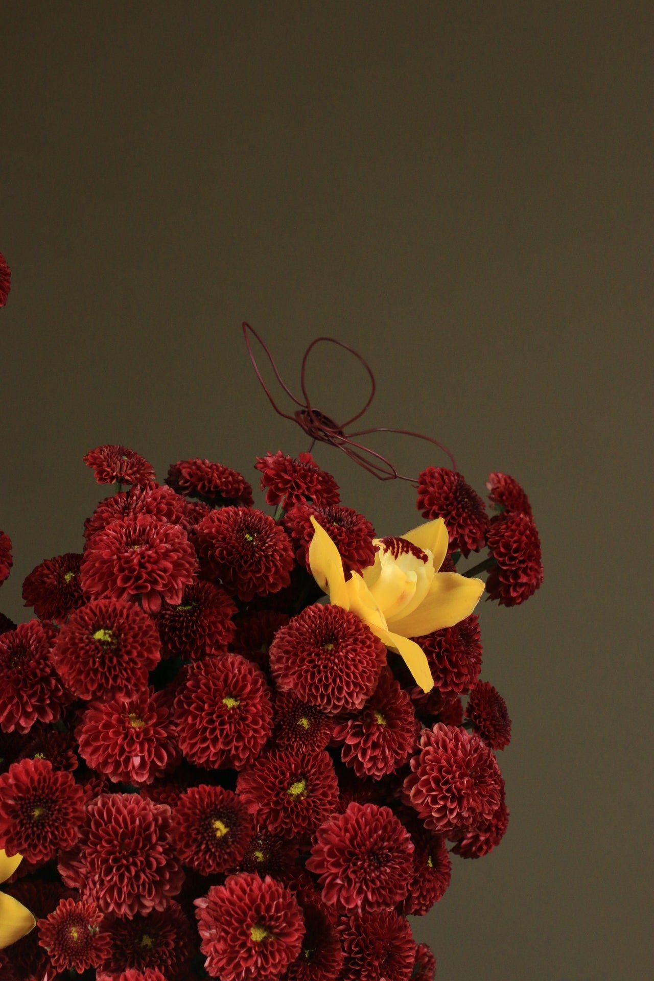 Veloura Blooms