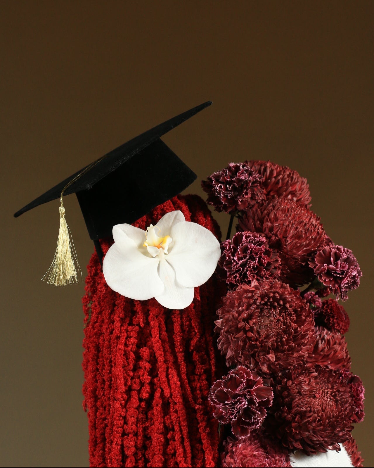 Beautiful graduate