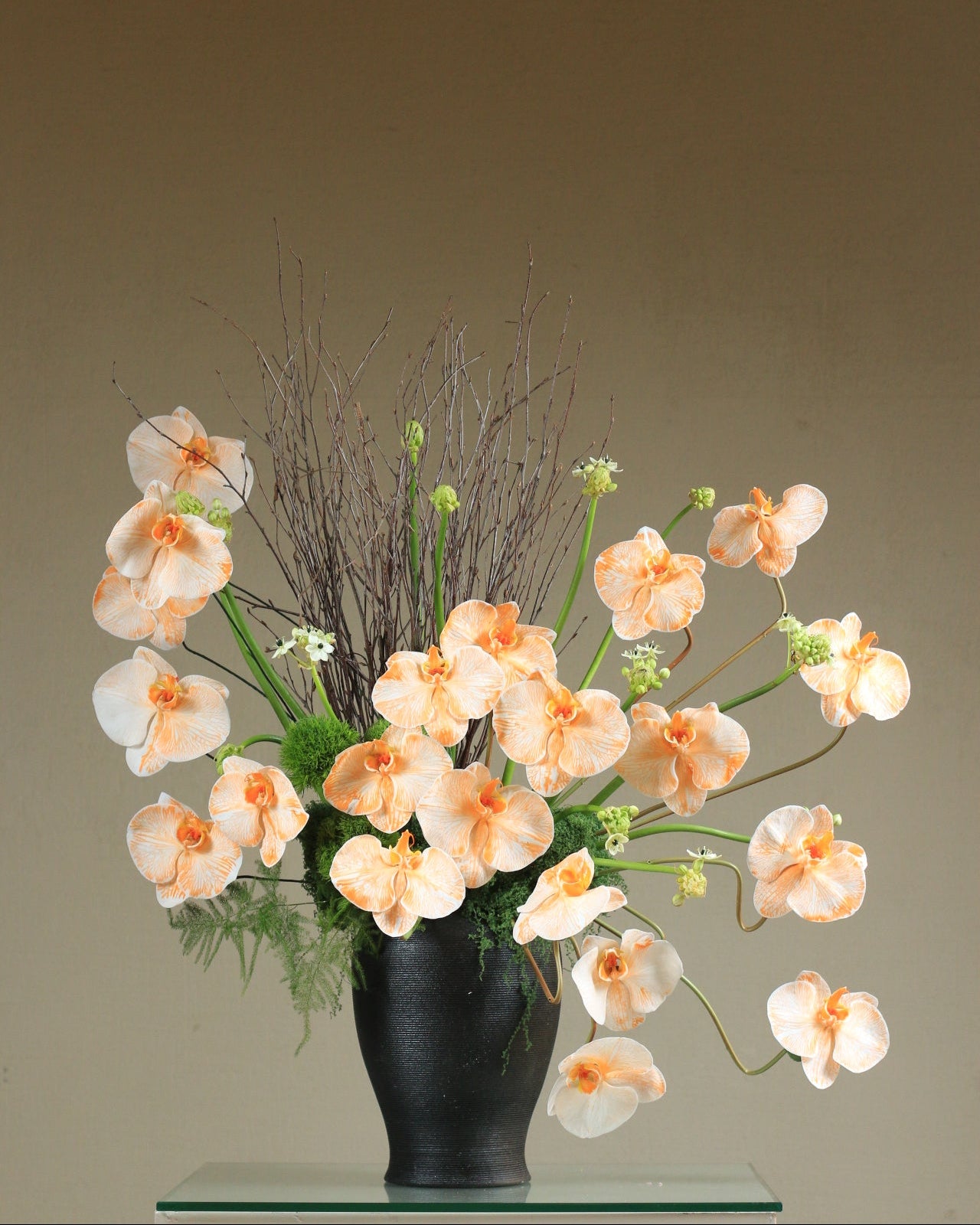 Sunrise Orchid