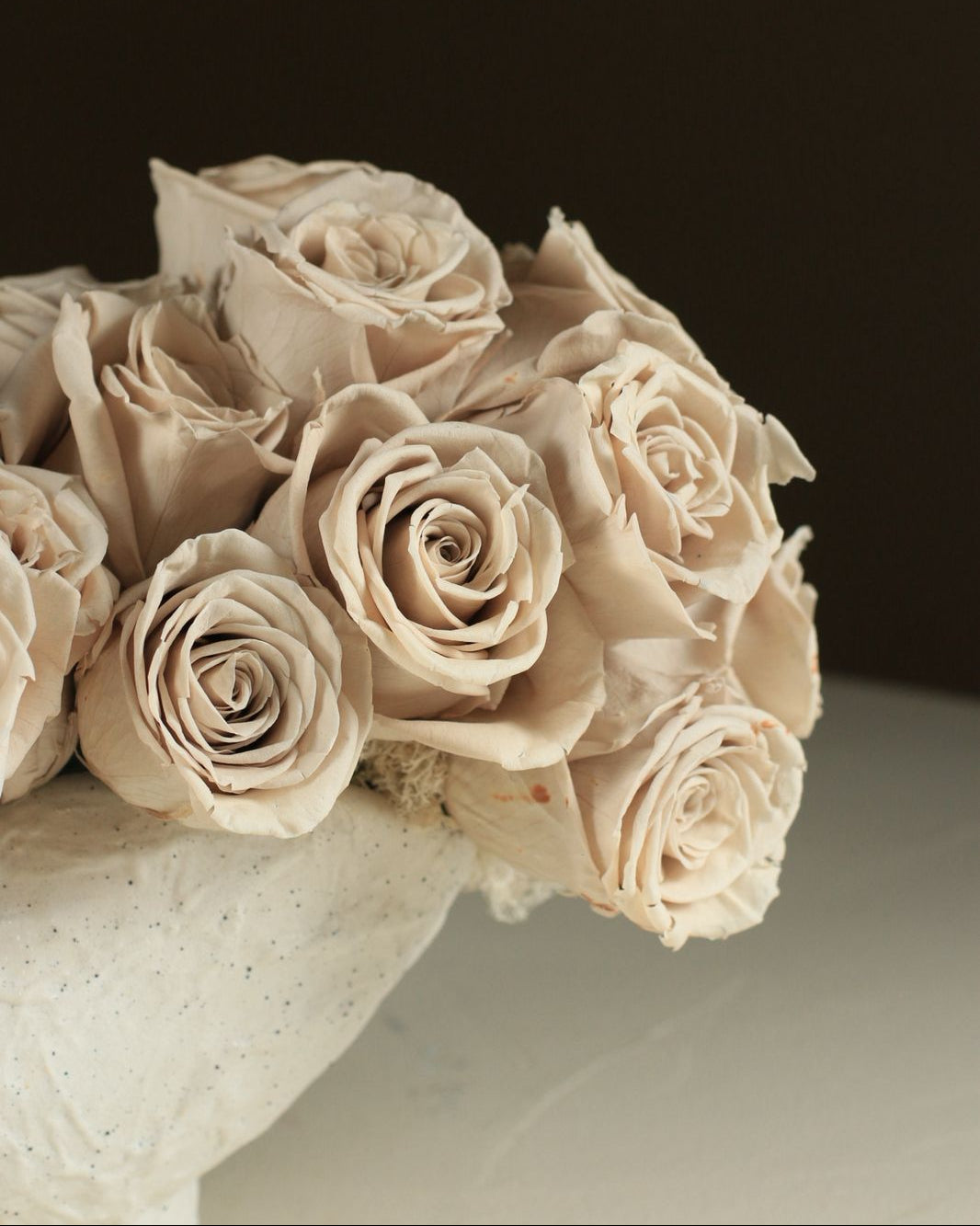 Infinity Rose